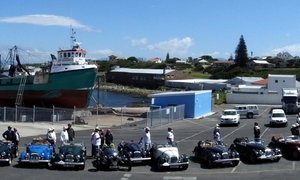 Morgans Skitter in Gansbaai
